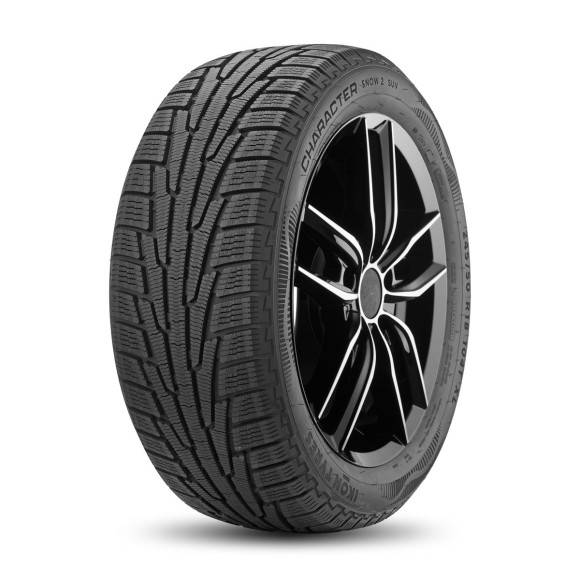 Шины Ikon 225/55 r18 Character Snow 2 SUV (Nordman RS2 SUV) 102R Шины Ikon 225/55 r18 Character Snow 2 SUV (Nordman RS2 SUV) 102R