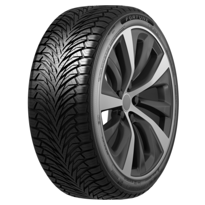 Шины Fortune 205/55R17 95W XL Fitclime FSR-401 TL